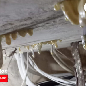 Jasa Injeksi Beton Pertitik Murah Jakarta